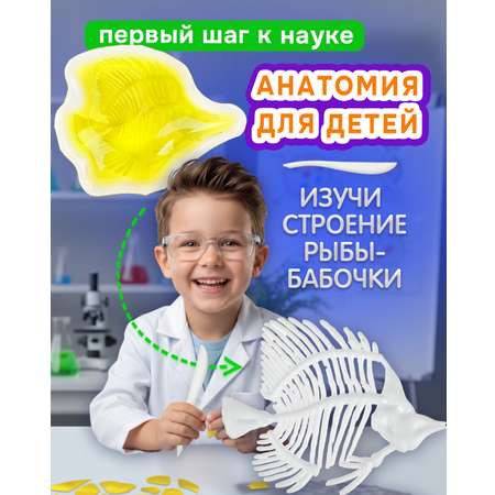 Набор для опытов 1TOY