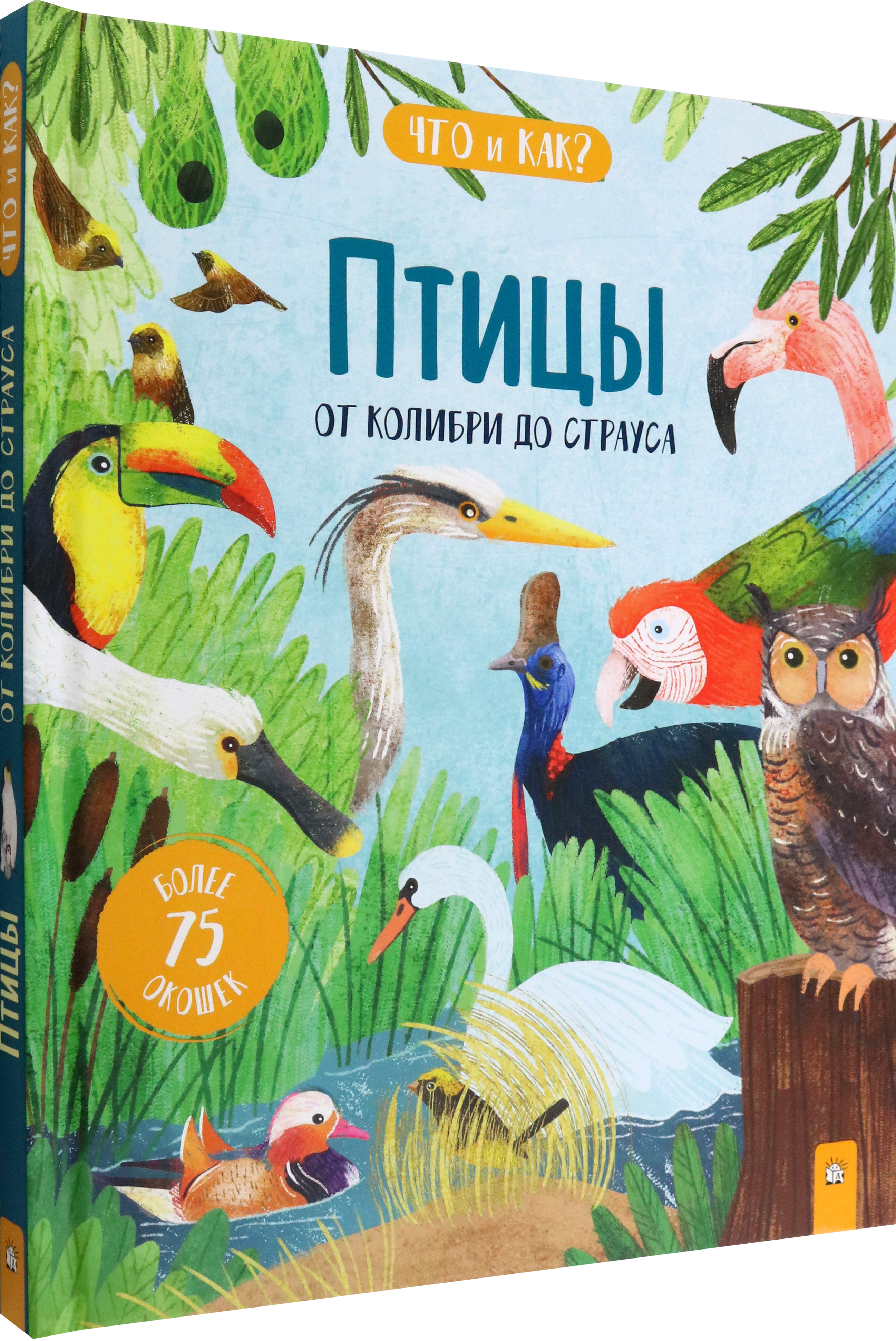 Книга Лабиринт Птицы От колибри до страуса - фото 2