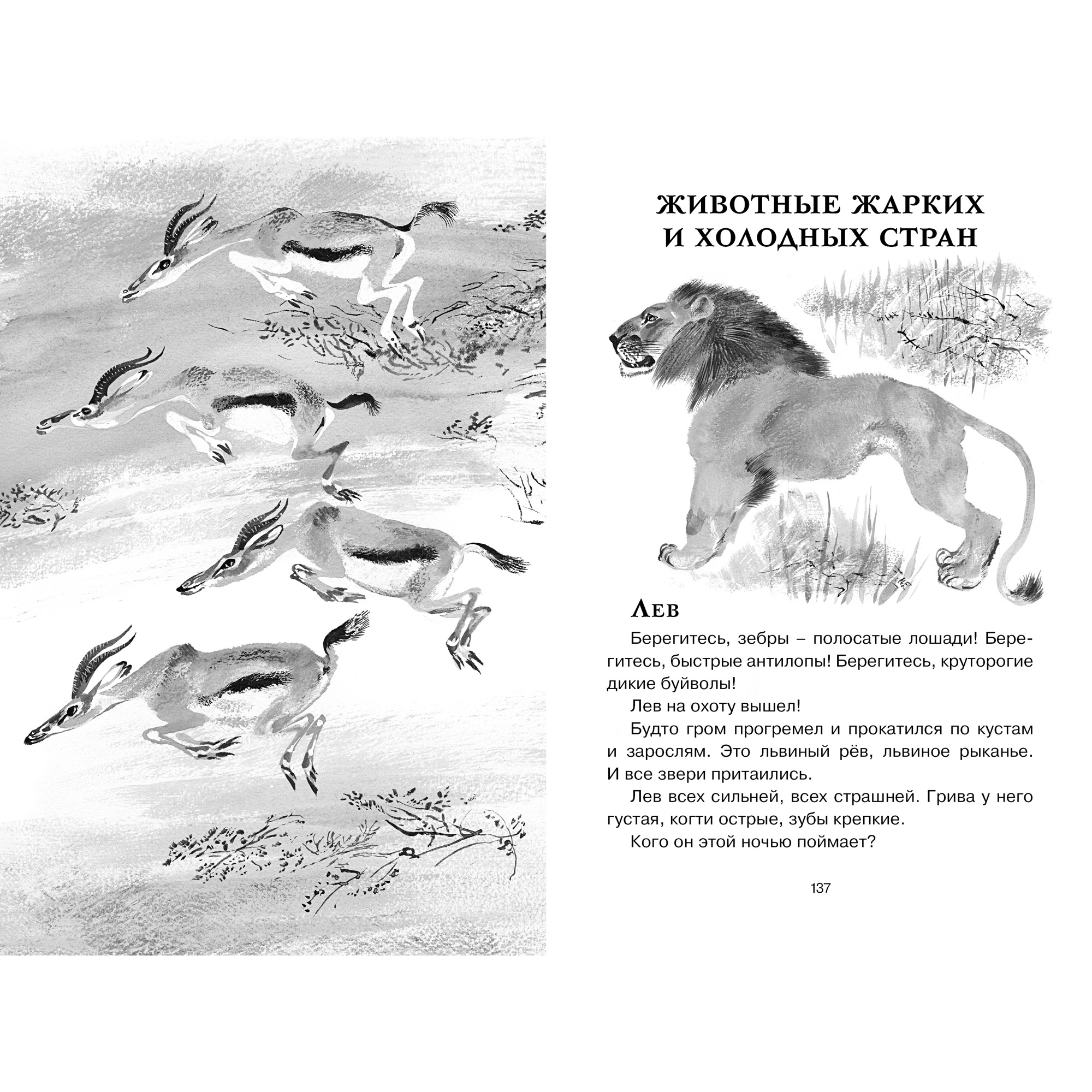 Книга МАХАОН Друзья Чарушин Е. - фото 7