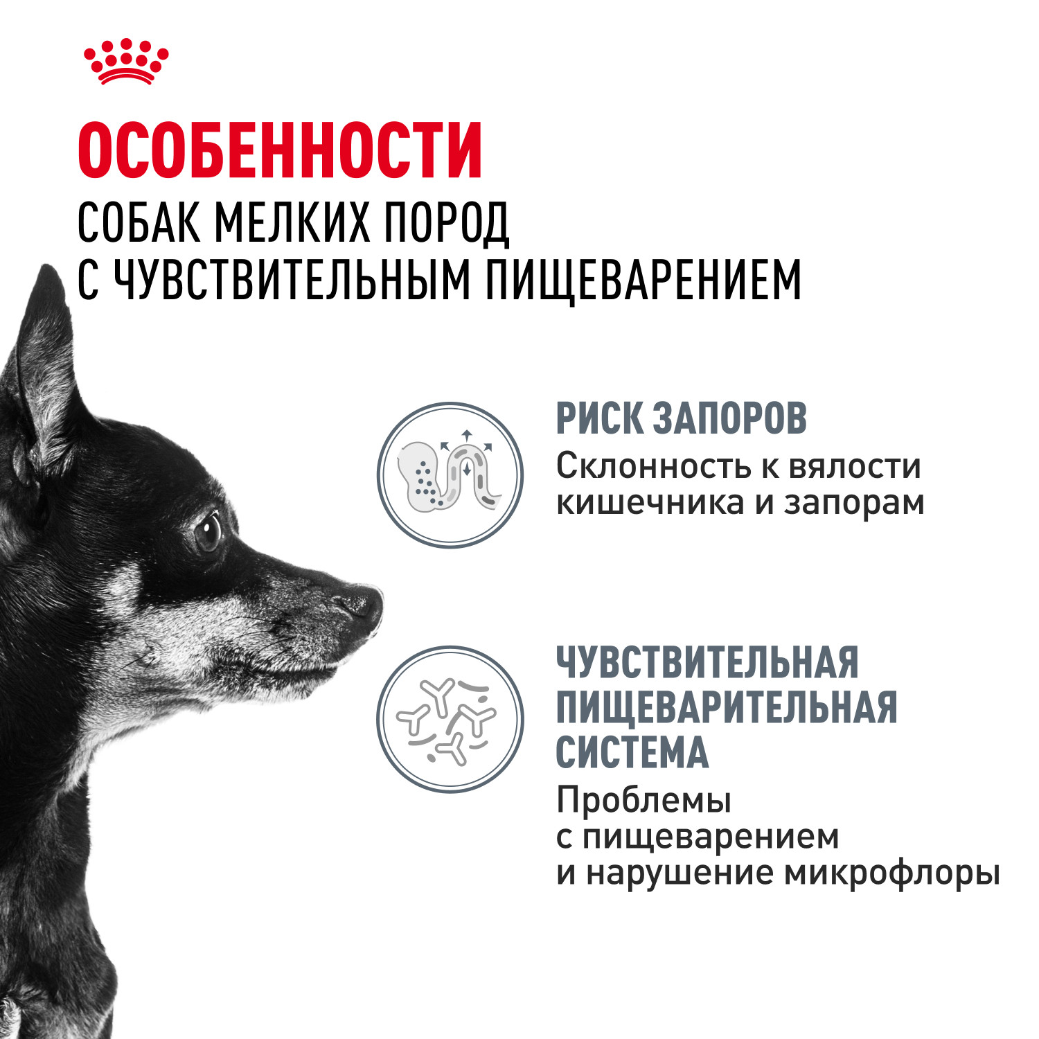 Корм для собак ROYAL CANIN Mini Digestive Care мелких пород с чувствительным пищеварением 1кг - фото 2