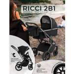 Коляска 2в1 Sweet Baby Ricci Black черный