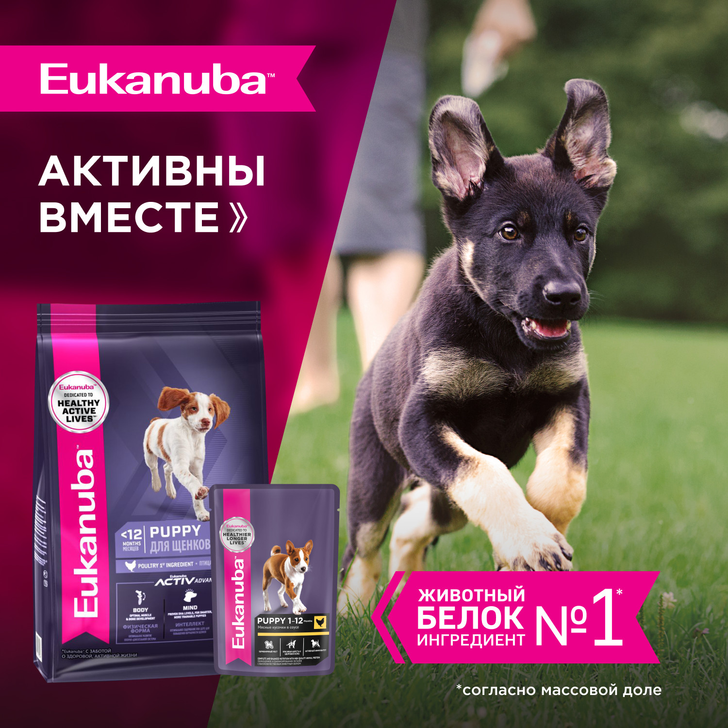 Корм для щенков Eukanuba 85г с курицей в соусе пауч - фото 7