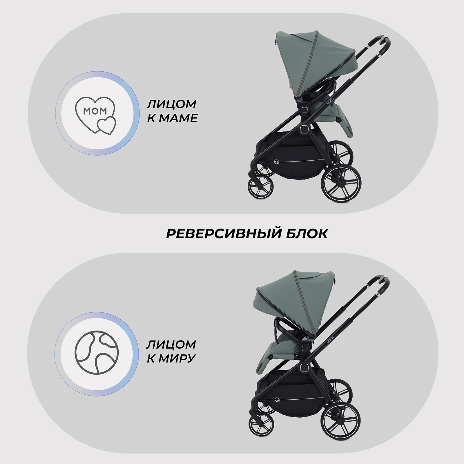 Коляска прогулочная Rant Moss зеленый - фото 3