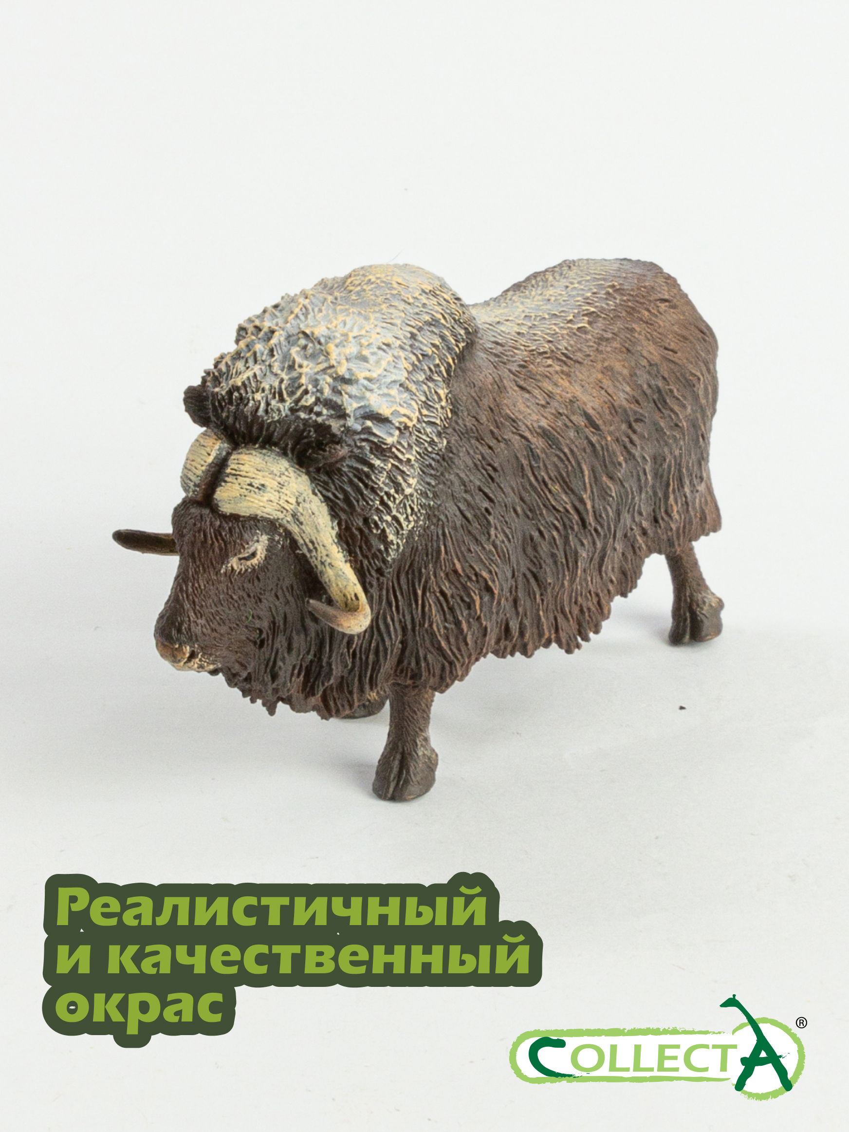 Фигурка Collecta Бык Мускусный - фото 4