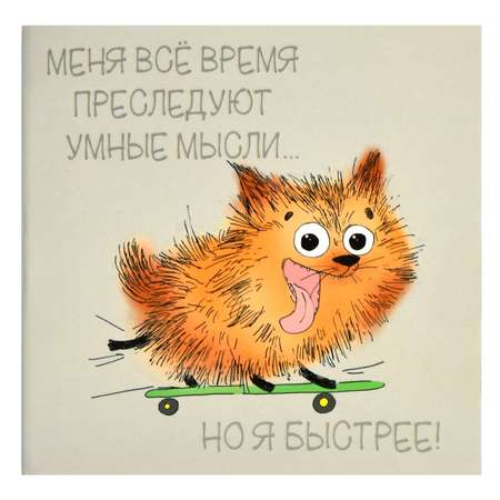Тетрадь Феникс + 32 лист. 1 шт.