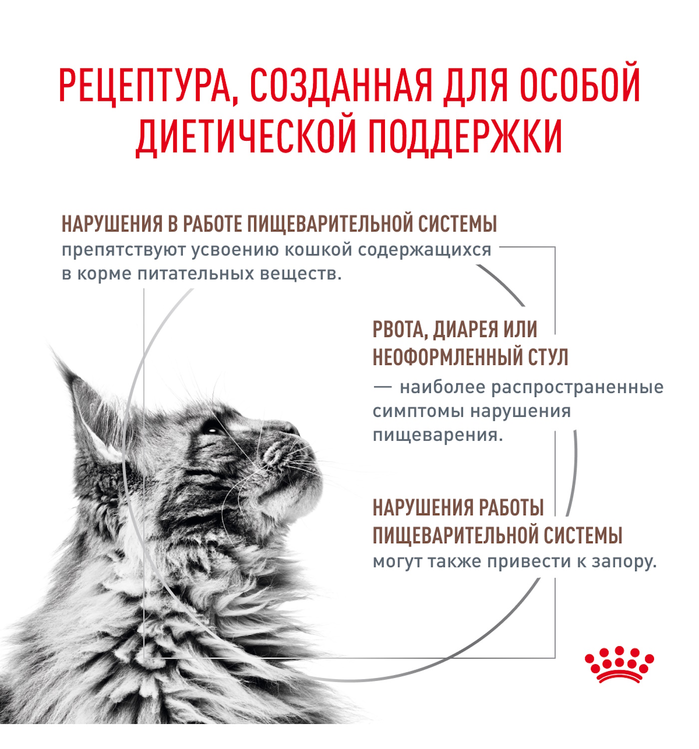 Корм для кошек ROYAL CANIN Fibre Response FR31 при запоре 2кг - фото 2