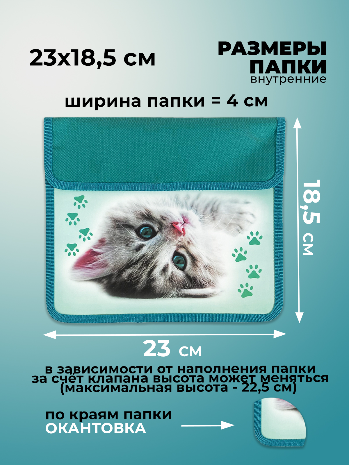 Папка для тетрадей Cancburg А5 - фото 2