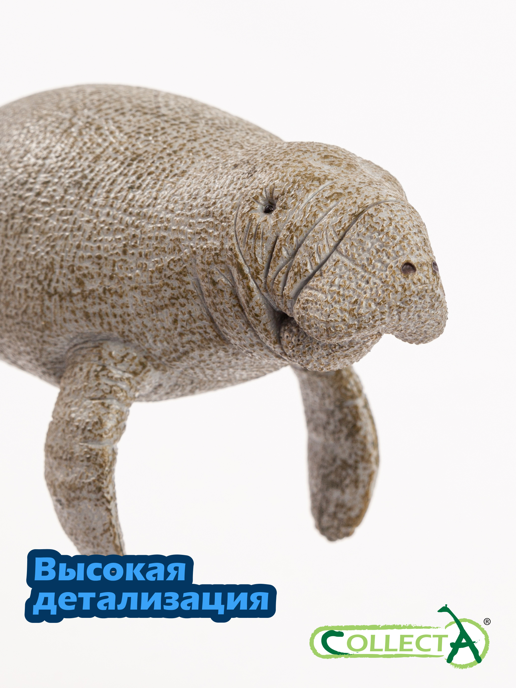 Фигурка Collecta Ламантин - фото 3