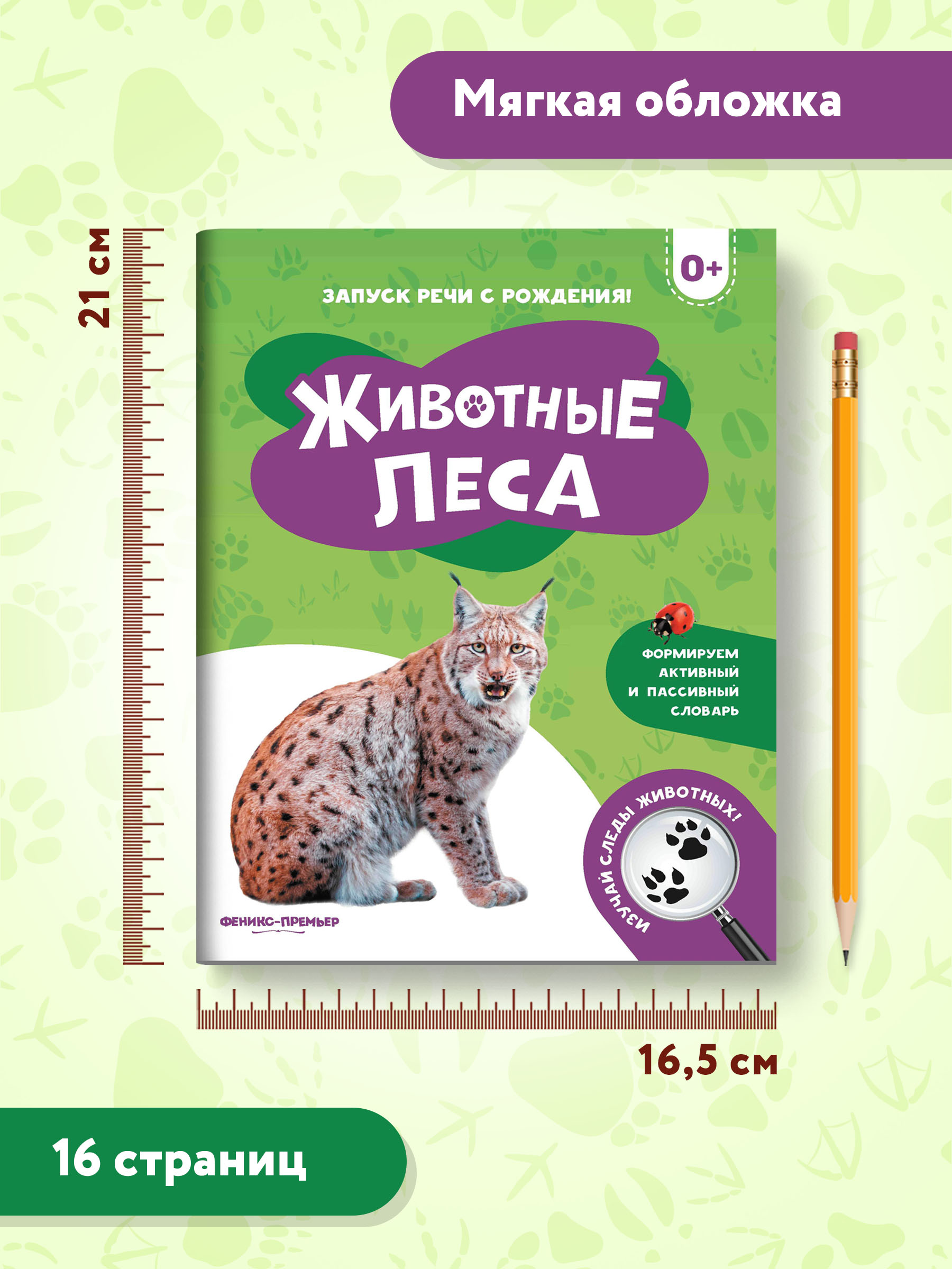 Книга Феникс Премьер Животные леса. Фотоброшюра 0+ - фото 9