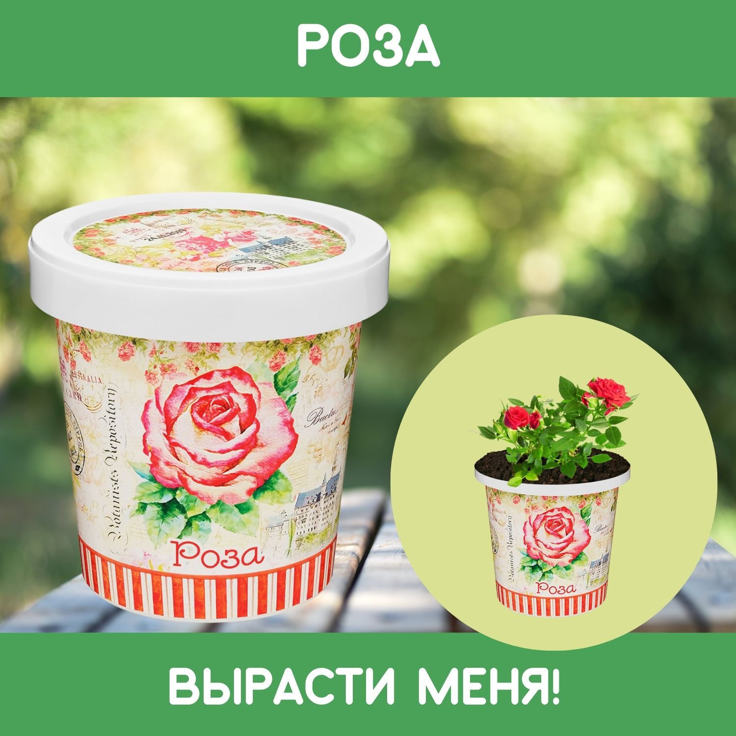 Набор для выращивания Rostok Visa - фото 1