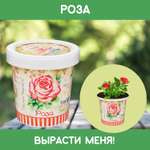 Набор для выращивания Rostok Visa