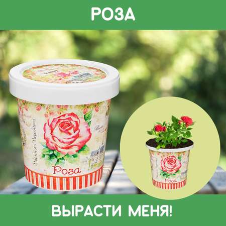 Набор для выращивания Rostok Visa
