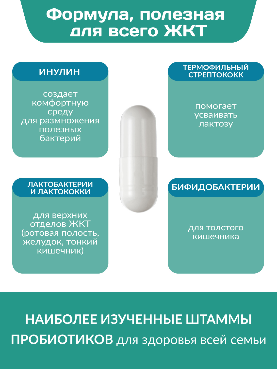 Комплекс пробиотиков Максимум Daily Guard Daily Guard PROBIOTICS - фото 5