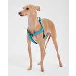 Шлейка для собак мелких пород Barbaks голубая с вкраплениями полиэстер S (1.5*25-40см)