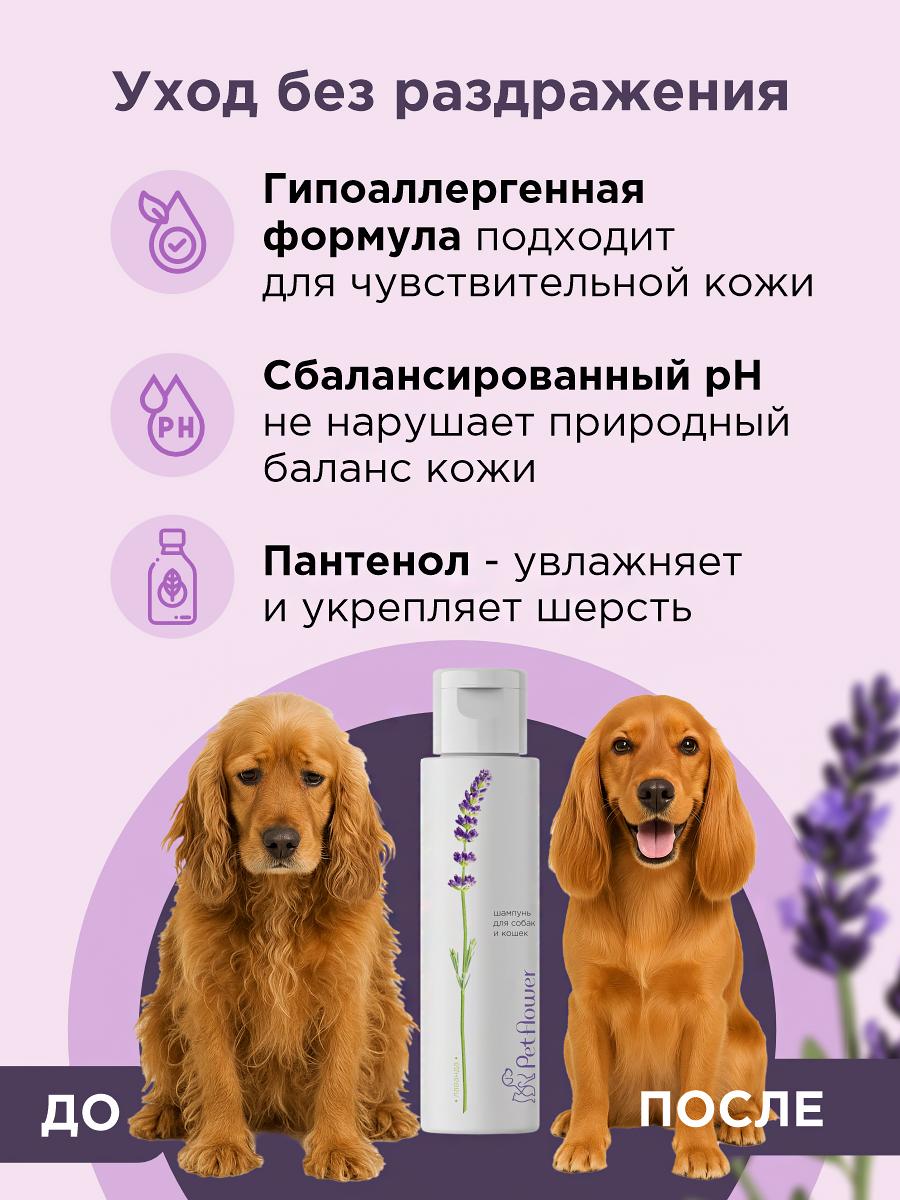 Шампунь для кошек и собак GOODR Pet Flower универсальный с ароматом Лаванды 250 мл - фото 4