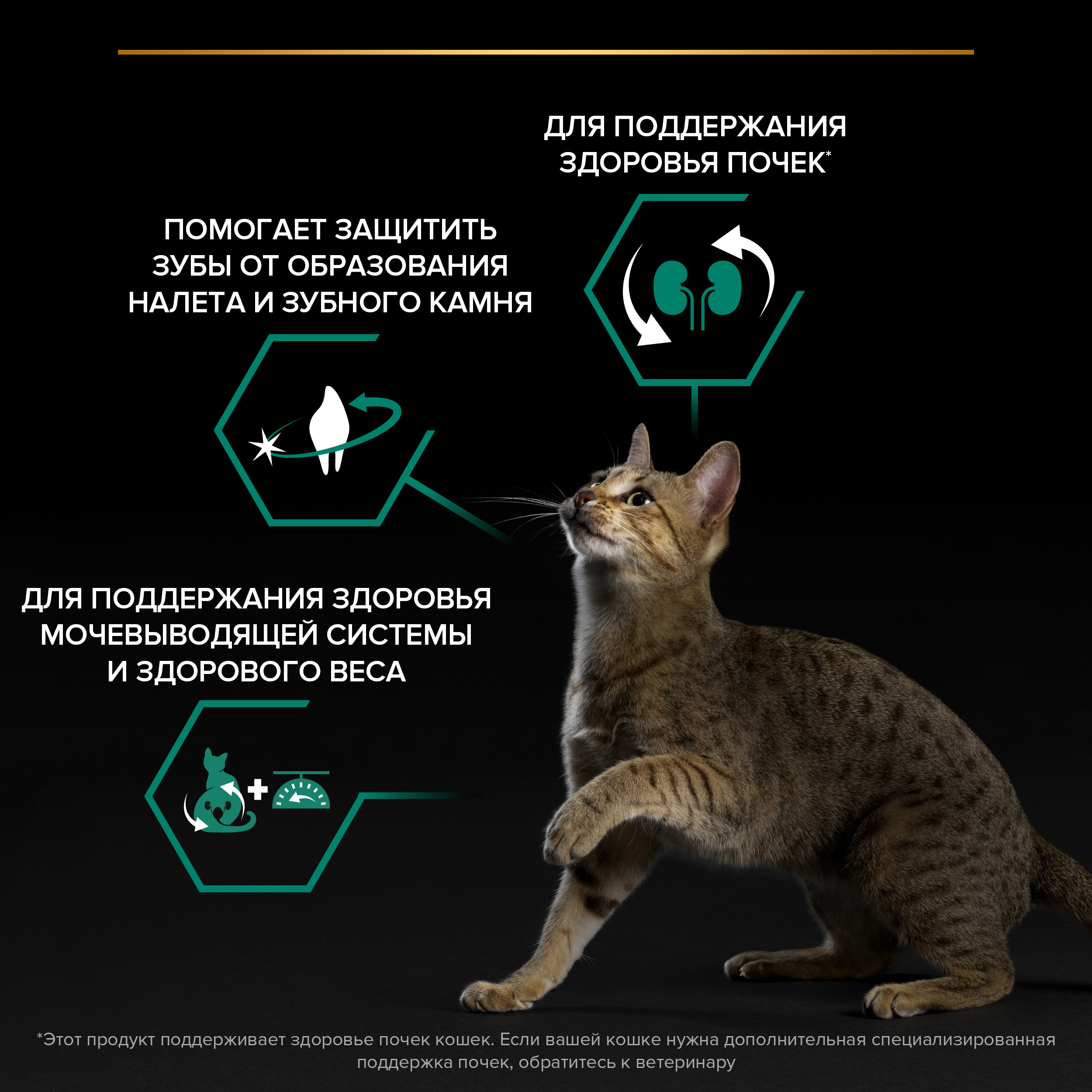 Корм сухой для кошек PRO PLAN RENAL PLUS 10 кг с индейкой для стерилизованных для поддержания здоровья почек - фото 5