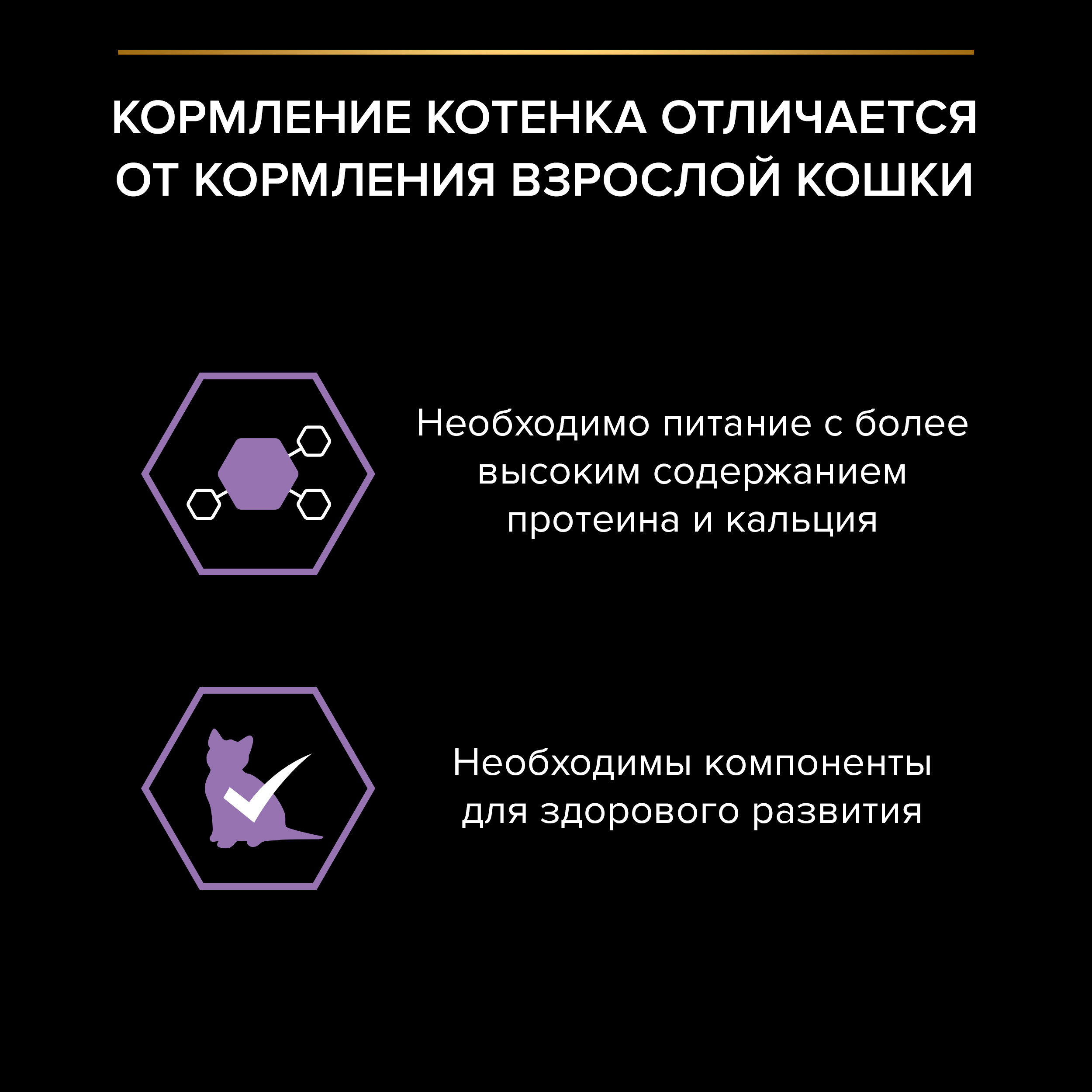 Корм PRO PLAN для котят/беременных и кормящих кошек 85г лосось в соусе - фото 6