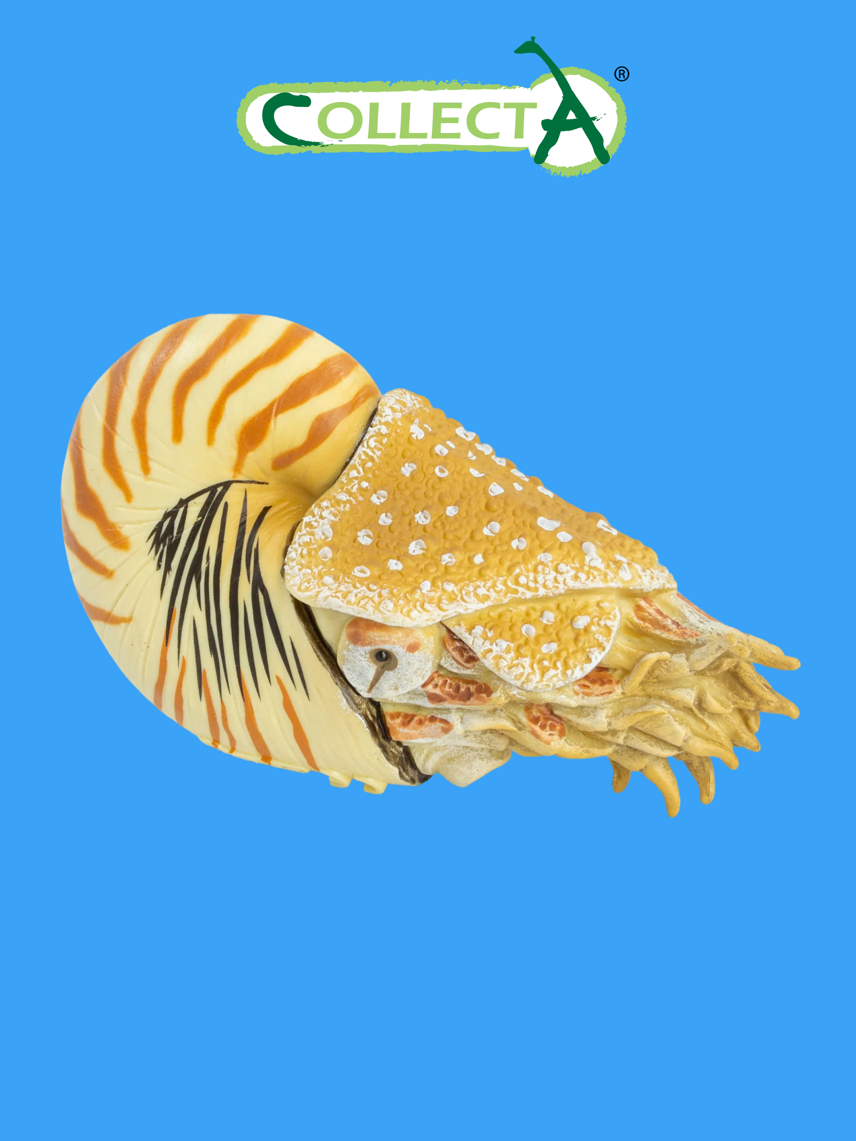 Фигурка Collecta Моллюск Наутилус Помпилиус - фото 1