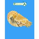 Фигурка Collecta Моллюск Наутилус Помпилиус