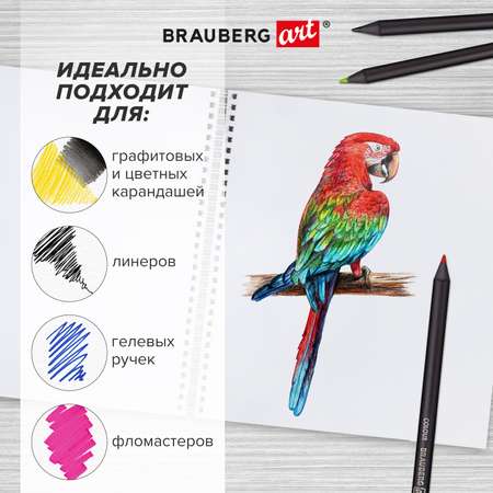 Скетчбук Brauberg