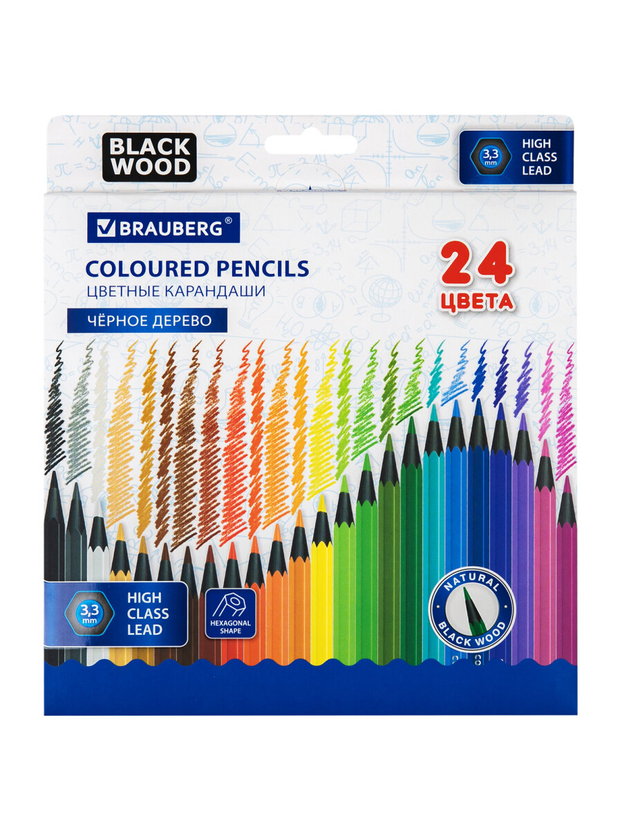 Карандаши цветные Brauberg 24 шт. - фото 8