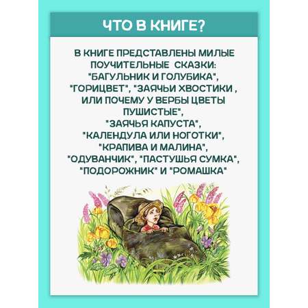 Книга Алтей Сказки с лесной полянки