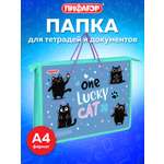 Папка для тетрадей Пифагор счастливые коты А4