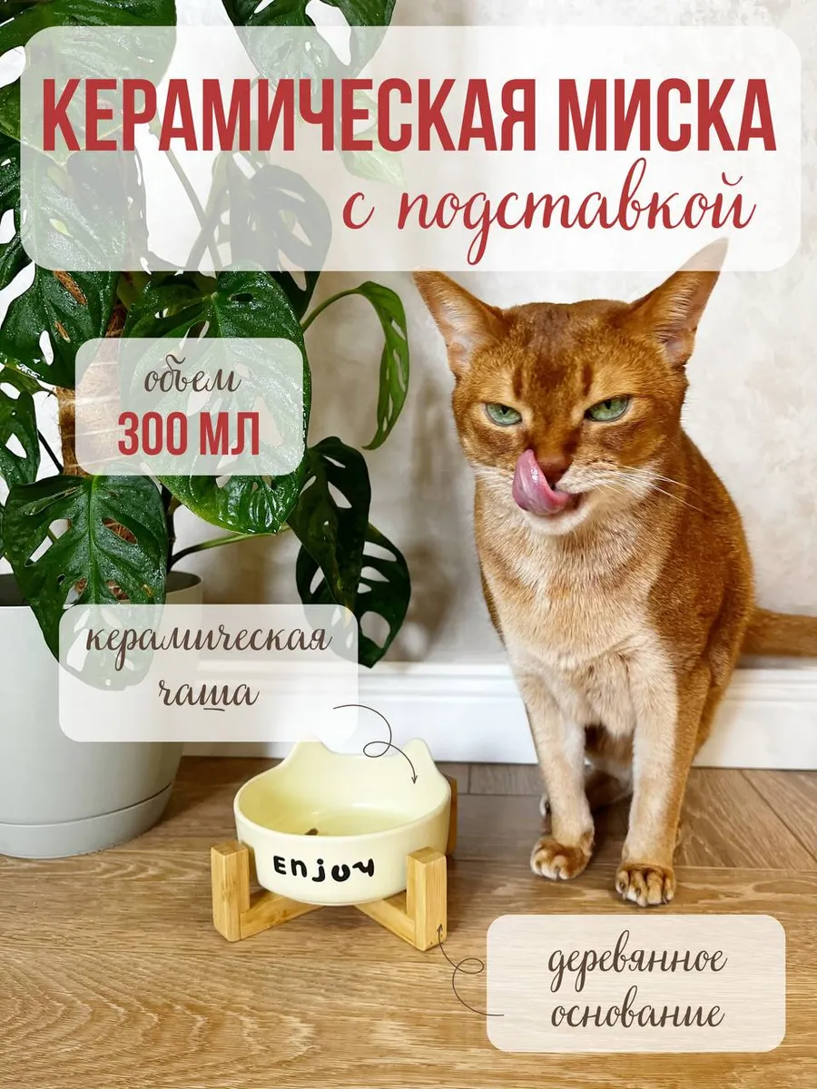 Миска для кошек и собак Qalla на подставке - фото 1