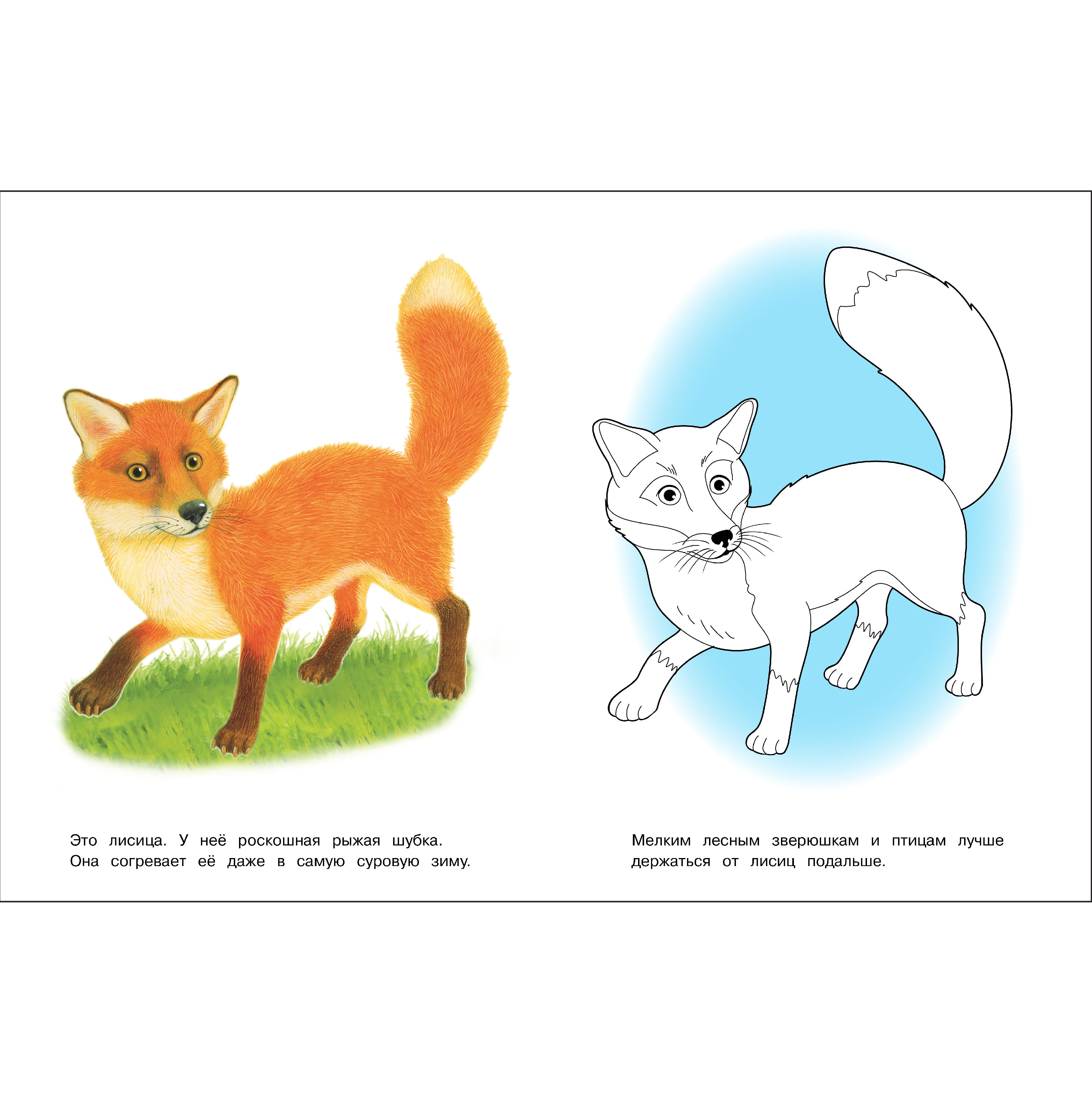 Комплект книг СТРЕКОЗА Раскраски - фото 6