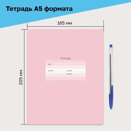 Тетрадь BG линейка 16 шт.