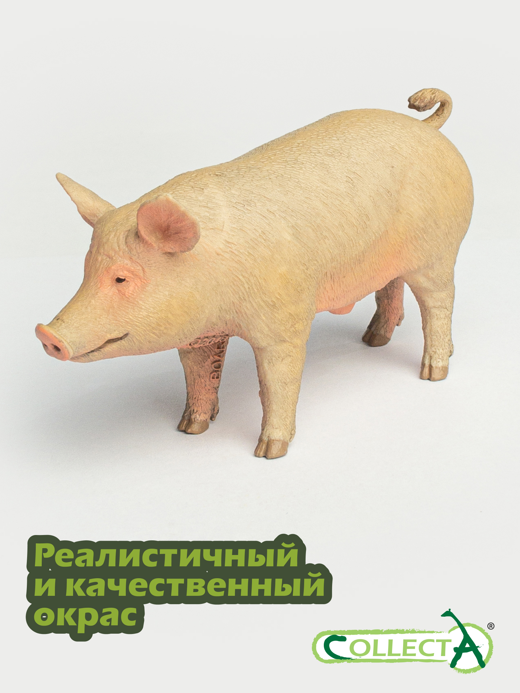 Фигурка Collecta Свинья - фото 4