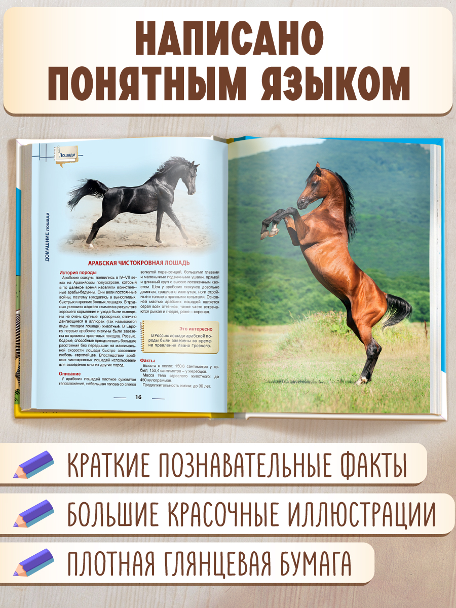Книга Проф-Пресс Энциклопедия для детей. Лошади - фото 2