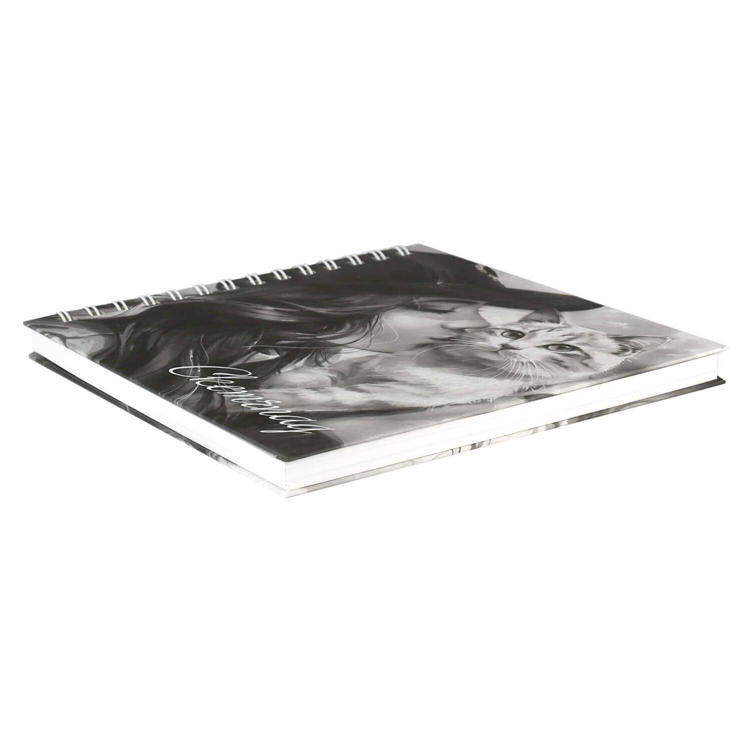 Скетчбук Феникс + А5 80 лист. - фото 5