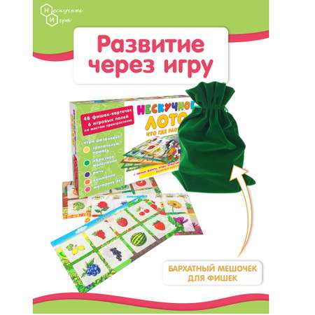 Настольная игра Нескучные игры Детское Лото Что где растет
