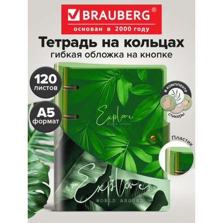 Тетрадь со сменным блоком Brauberg клетка 120 лист.