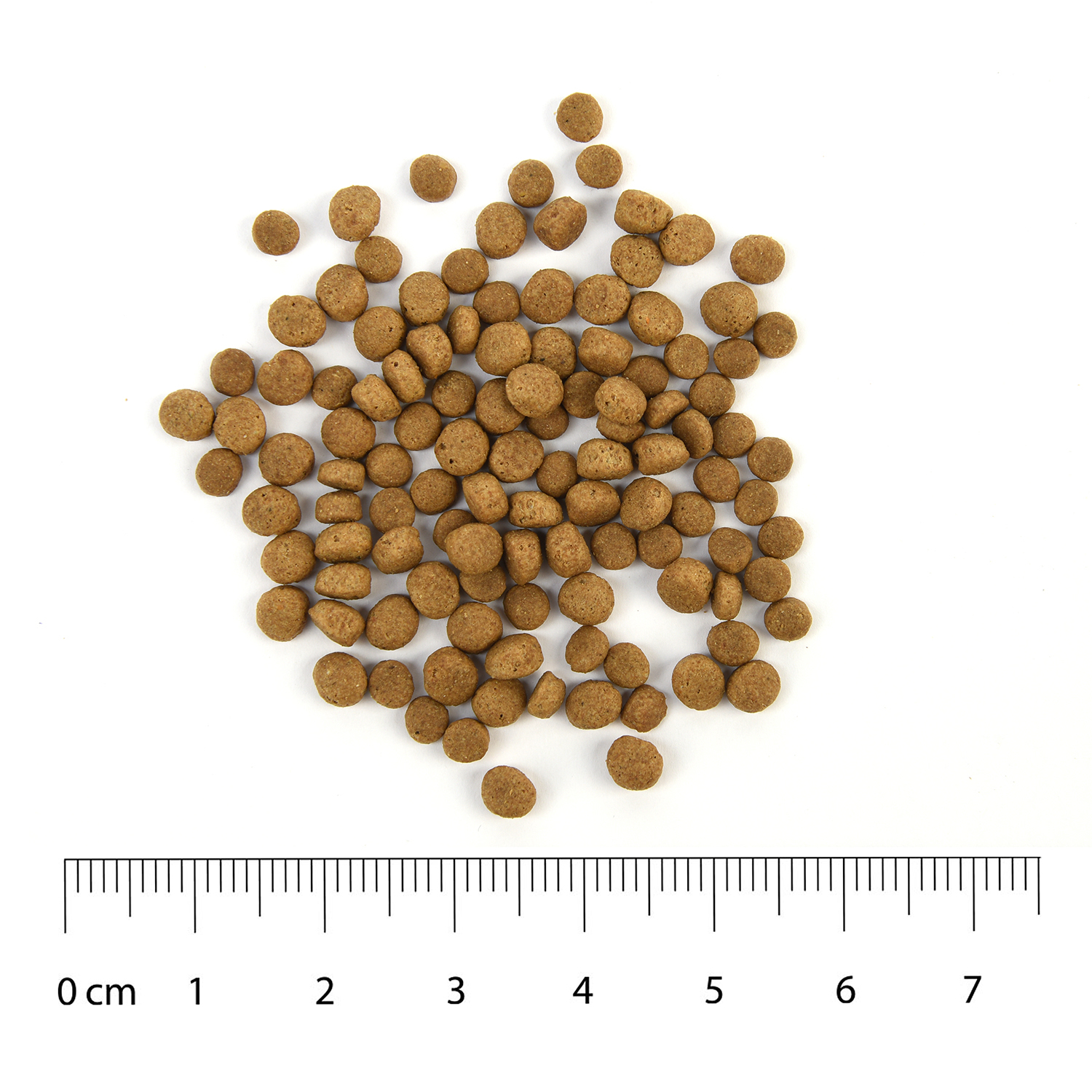 Корм для кошек Carnica 0,4кг с индейкой сухой - фото 7