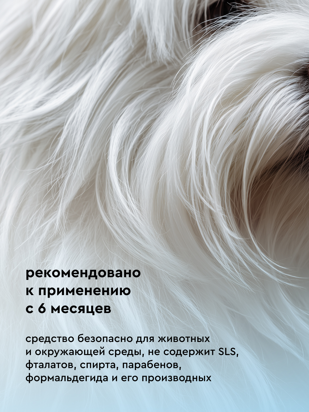 Шампунь для собак и кошек Pamilee с хлоргексидином антибактериальный против зуда и запаха - фото 11