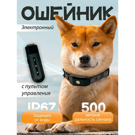 Электроошейник для собак SuperPets с пультом управления