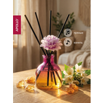 Ароматический диффузор APOLLO пряный, ваниль 40 мл