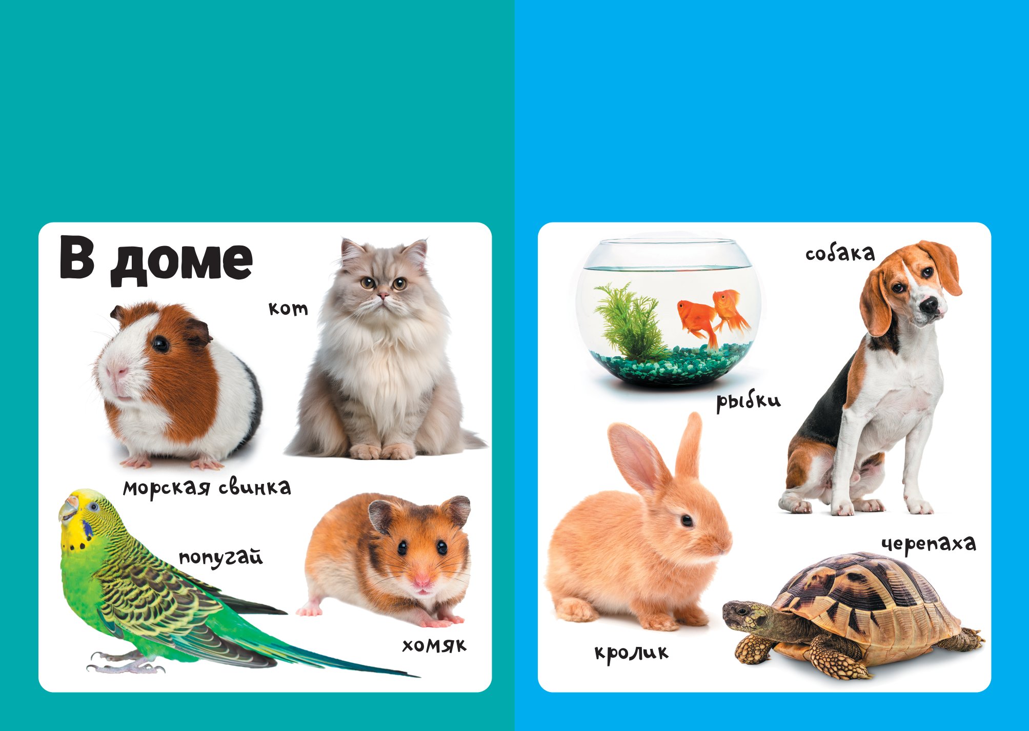 Книга АСТ Мягкая книжка для малыша Животные - фото 2