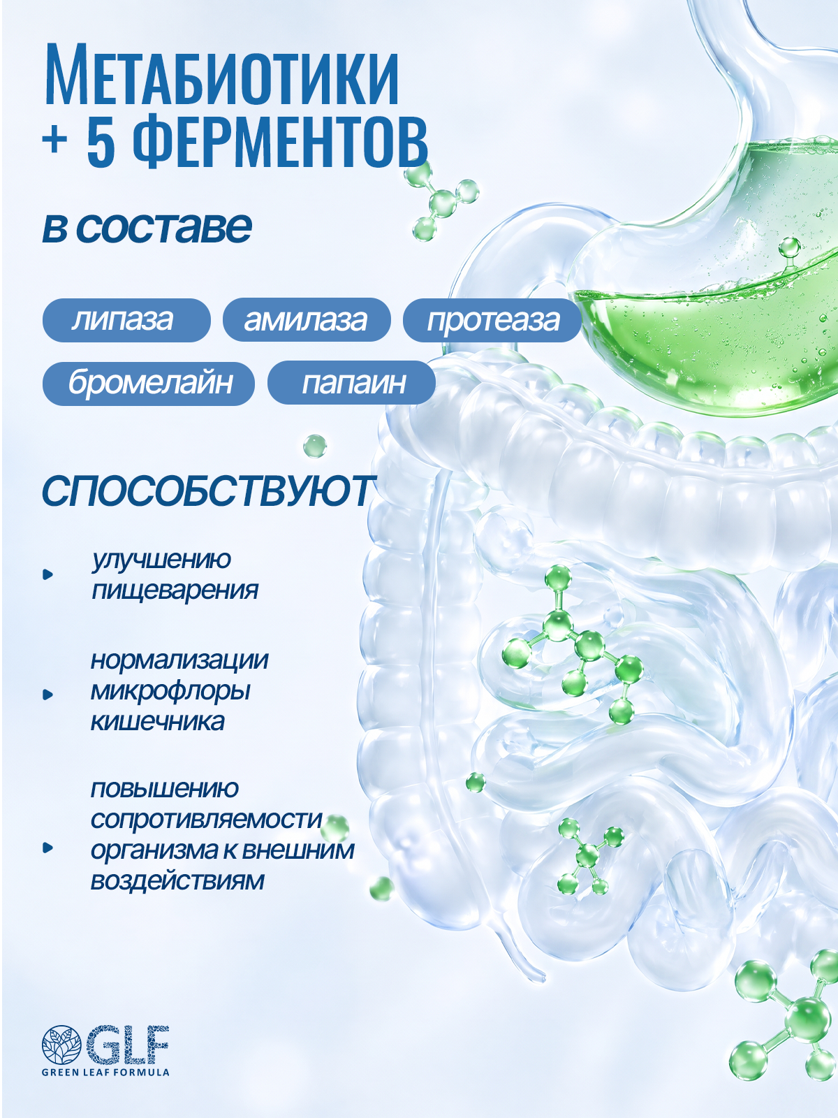 Метабиотик для кишечника Green Leaf Formula ферменты для пищеварения L-карнитин для сжигания жира для иммунитета - фото 4