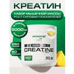 Креатин SUPPTRUE 250 г. со вкусом ананаса