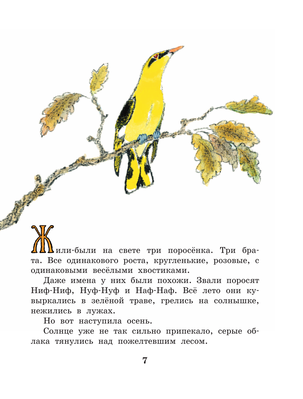 Книга АСТ Весёлые зайцы. Рисунки Е. Рачева - фото 15