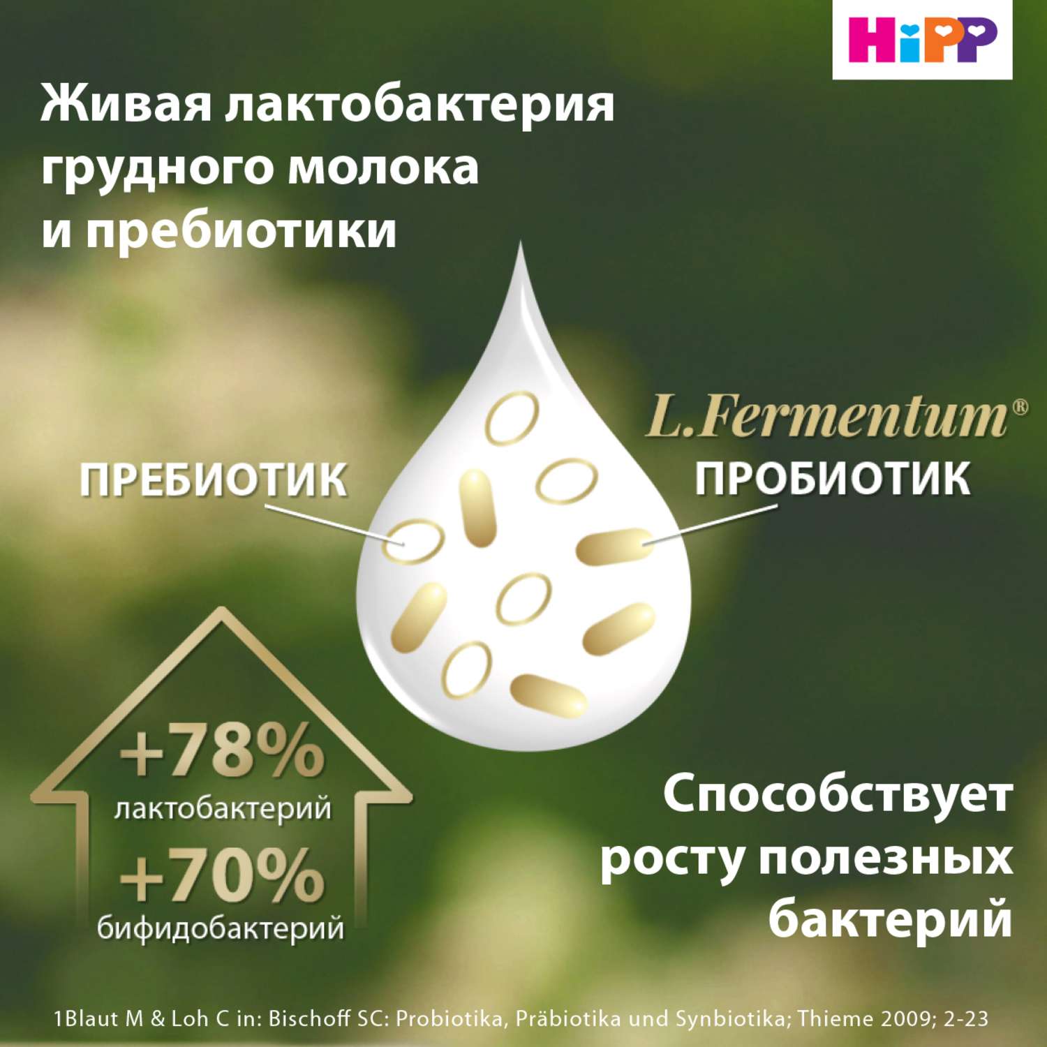 Смесь молочная Hipp 1 Combiotic Expert 900г с 0месяцев - фото 4