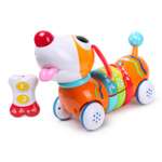 Игрушка BabyGo Радужный щенок 1142-NL