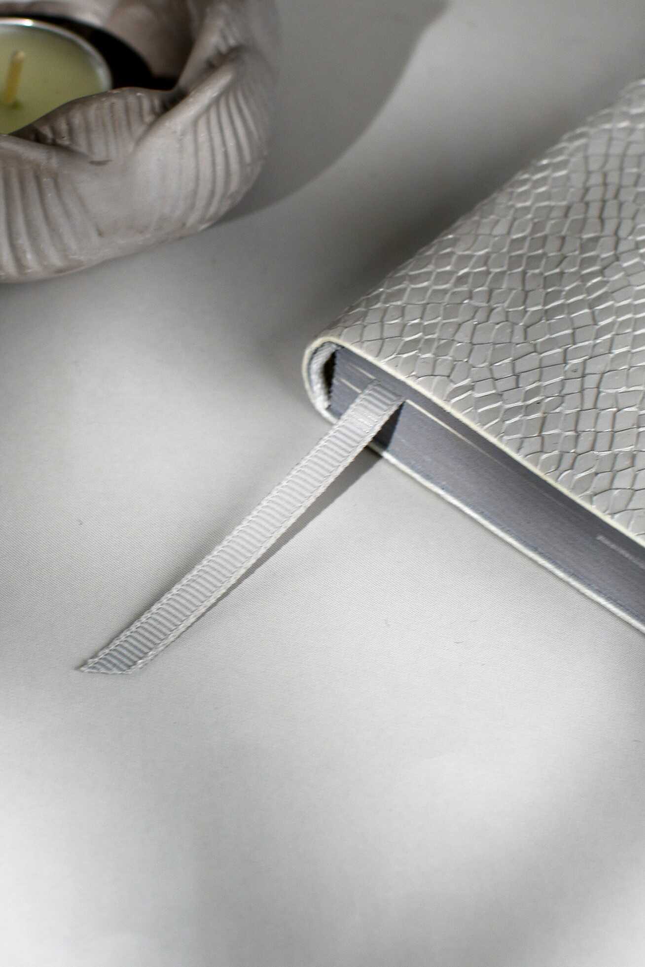 Ежедневник Феникс + ESCALADA 160 лист. - фото 17