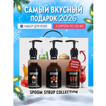 Набор сиропов SPOOM Ирландский крем Французская карамель Макадамия для кофе 3шт 250мл + 3 дозатора