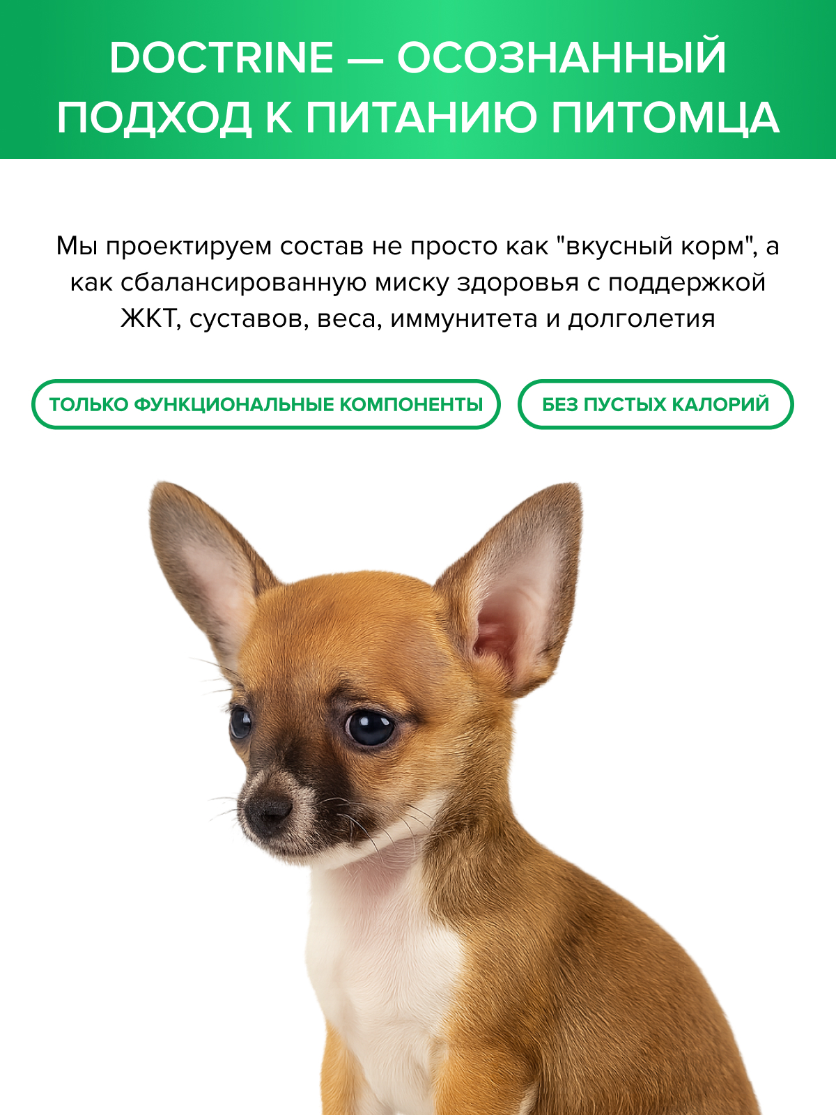 Корм для щенков DOCTRINE сухой мелких пород с телятиной и олениной 800 г - фото 10