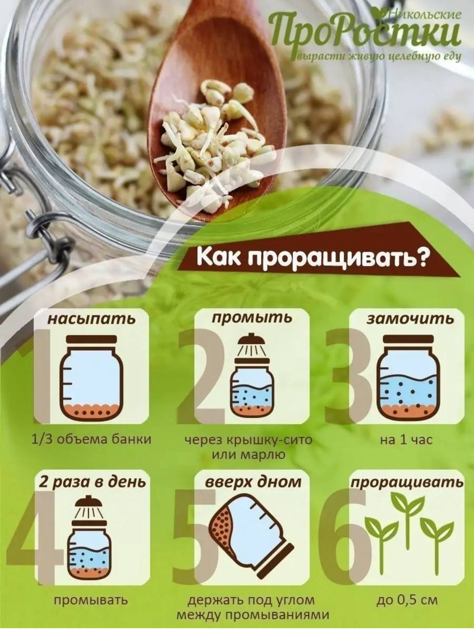 Семена для микрозелени Никольские ПроРостки гречка зеленая - фото 8