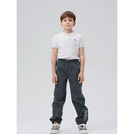 Брюки Lemonwear